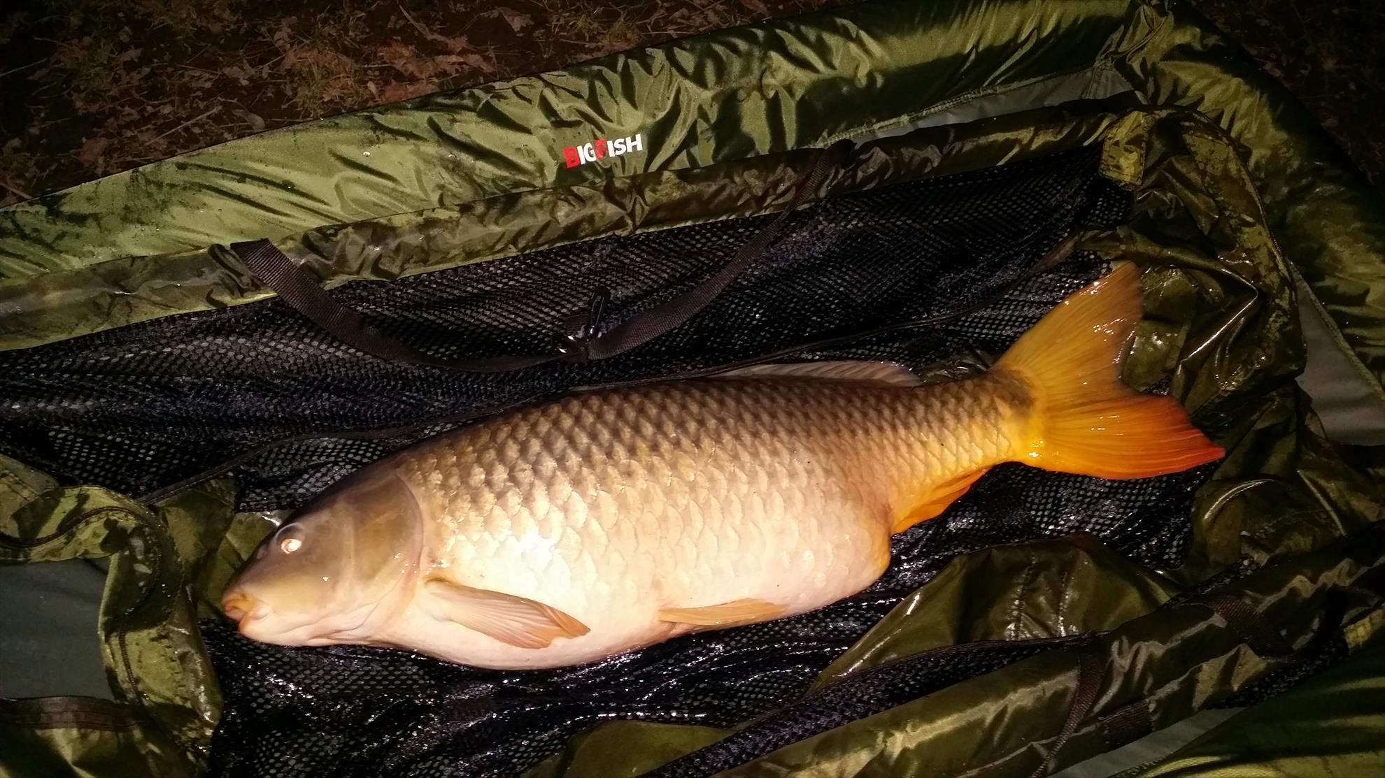 Lago Boschetto 11 - 13 ianuarie 2016 - 20160112190053.jpg